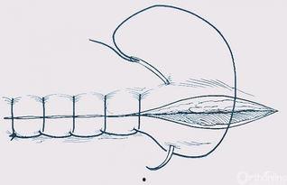 成人领带画法图解大全视频,跟随视频图解学画领带