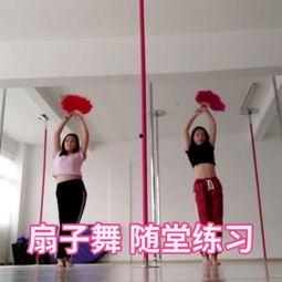 扇子舞成人基础教学视频,优雅舞步与扇韵魅力解析