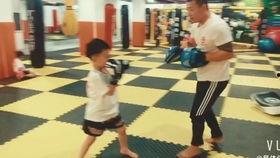 少儿成人搏击视频大全集,一招一式，传承武术精髓