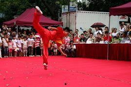 成人单人武术表演视频,成人武术表演精彩瞬间回顾