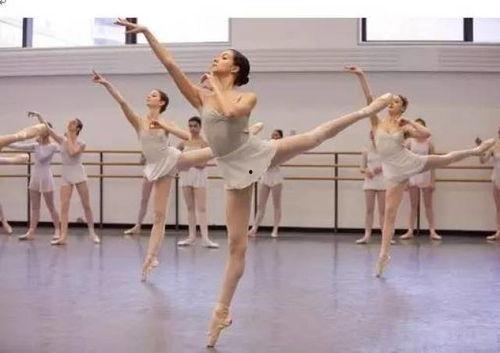 成人围桌跳舞视频教学全集,成人围桌舞教学视频全集精华汇总